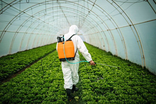 Best Pest Inspection Near Me  in Copeland, OK