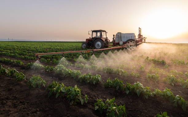 Best Best Pest Control Companies  in Copeland, OK