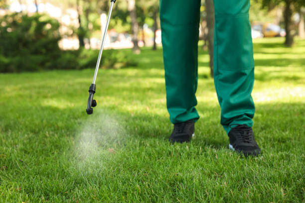 Best Pest Removal Services  in Copeland, OK