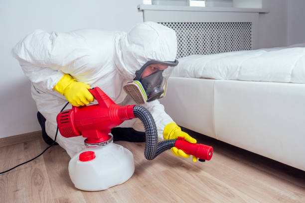 Best Pest Prevention Services  in Copeland, OK