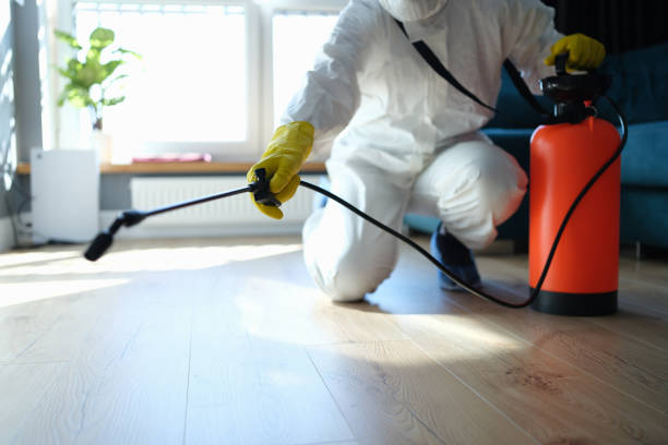 Flea Control Services in Copeland, OK