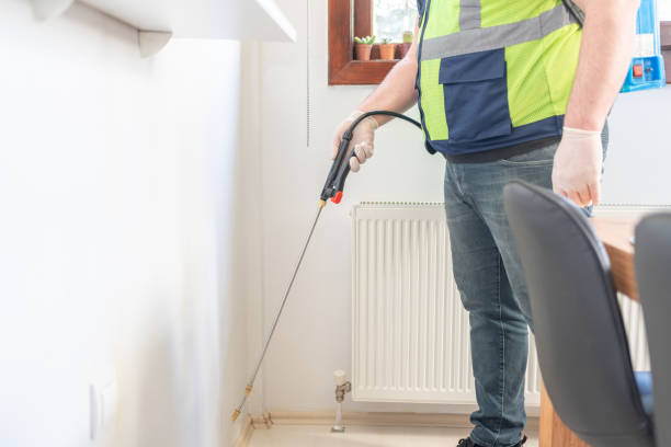 Best Wasp Removal Services  in Copeland, OK