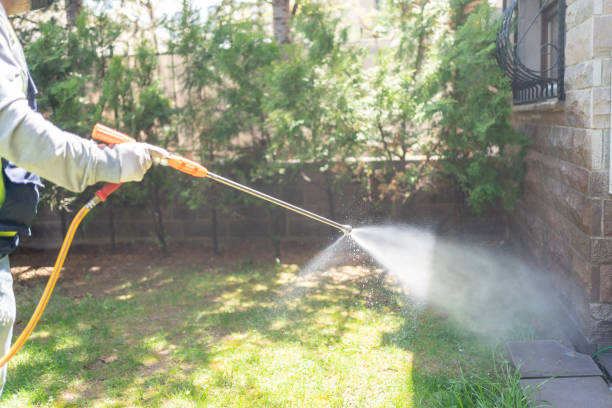 Best Pest Removal Services  in Copeland, OK
