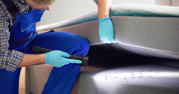 Best Cockroach Control Services  in Copeland, OK