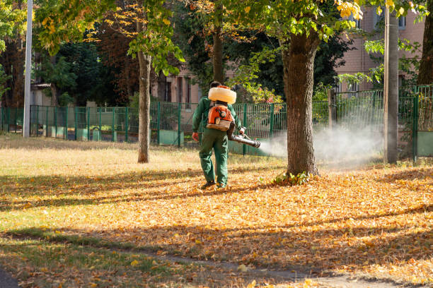 Best Mosquito Control Services  in Copeland, OK